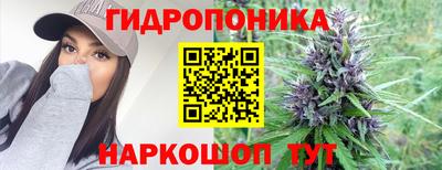 гидра Берёзовский