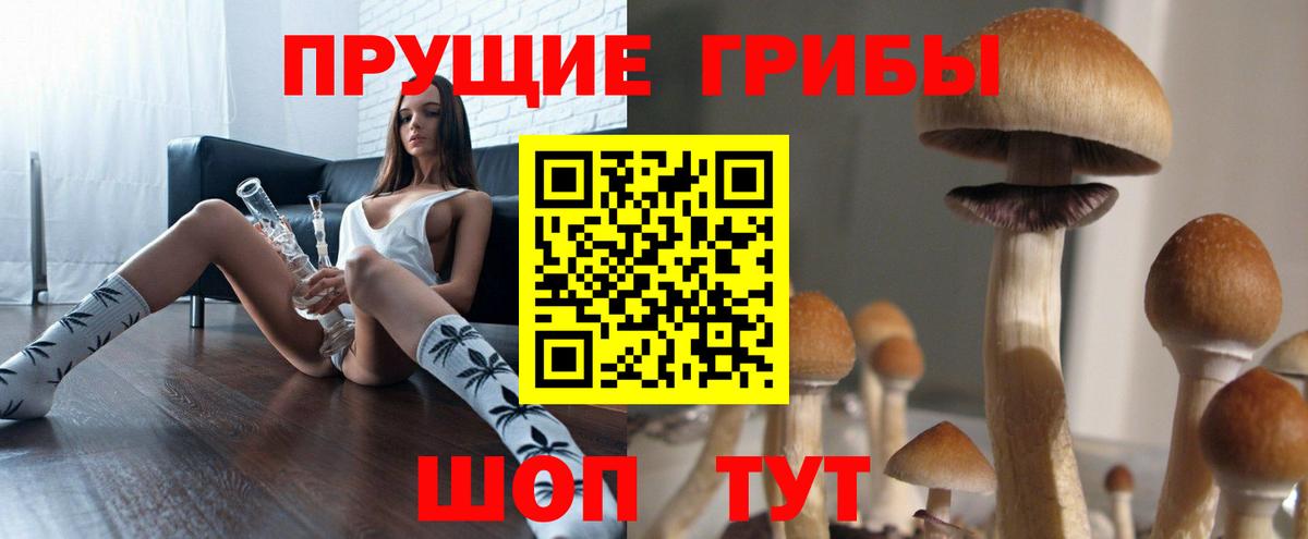 Галлюциногенные грибы прущие грибы  Псилоцибиновые грибы Psilocybine cubensis  Вход с VPN  Великий Устюг 